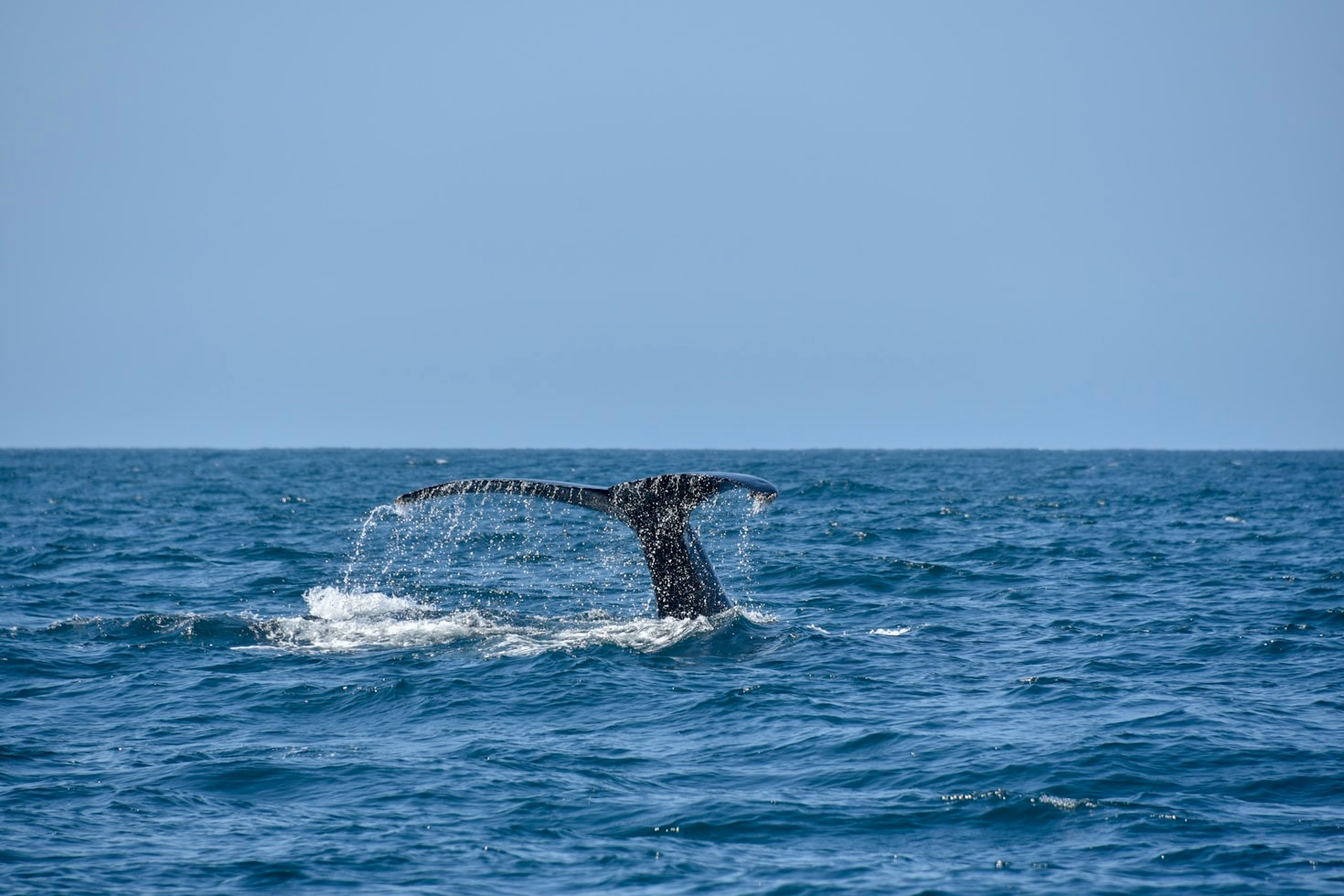 Condo Living vs. Home Ownership in Los Cabos